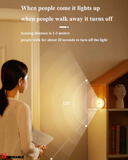 Motion Sensor LED Night Light