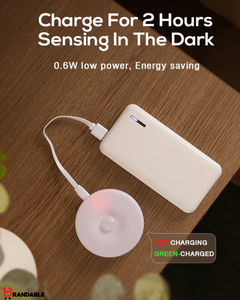 Motion Sensor LED Night Light