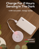 Motion Sensor LED Night Light